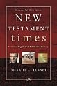 New Testament Times: Understanding the World of the First Century