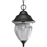 Progress Lighting P5523-31 One-Light Hanging Lantern with Clear Seeded Handblown Glass Urn, Black