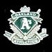 Search : MLB Team Crest Pin - Oakland Athletics