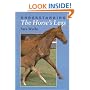 Understanding the Horse's Legs
