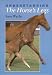 Book Understanding the Horse's Legs