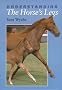 Understanding the Horse's Legs