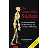 Das menschliche Skelett. Mit 10 Schautafeln und drei Riesenpostern zum Ausklappen und Aufh�ngen