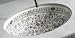 Kohler Asoka Garden Glaze on Vintage Undermount Bathroom Sink