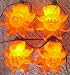 Yellow Suns Fun Party String Lights (SJ)