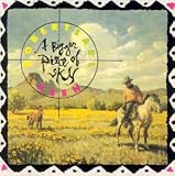 Review Robert Earl Keen  / The Bigger Piece of the Sky