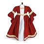 Dianna ~ Renaissance Doll Dress in Burgundy Linen with Silver and Embroidered Trimmings ~ Fits 18" American Girl Dolls Chrissa, Gwen, Sonali, Elizabeth,..