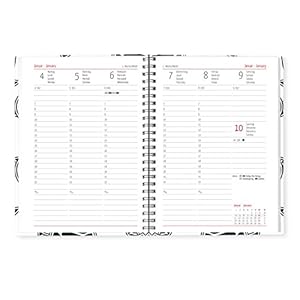 Ladytimer Ringbuch Turtles 2016 - Taschenplaner / Taschenkalender A5 - Collegetimer / Schülerkalender - Weekly - Ringbindung - 128 Seiten - Schildkr
