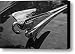 Packard Hood ornament Canvas Print / Canvas Art - Artist Dennis Hedberg Packard Hood ornament Canvas Print / Canvas Art - Artist Dennis Hedberg