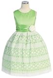 New Lacey Taffeta Party Dress sz 2 to 12 Girls ~ Blue, Pink, Lime or Ivory