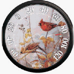 Taylor #6733 13-1/2Bird Thermometer