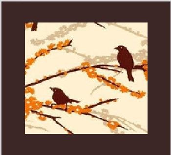 Picture of Cozy BabyHawk Mei Tai Baby Carrier Sweet Tweet on Chocolate Straps with Bonus Dainty Baby Reusable Bag BHSWTTWT (Baby Carriers)