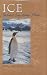 Book Ice: The Antarctic Diary of Charles F. Passel