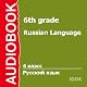 Russian Language for 6th Grade