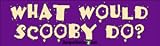 What Would Scooby Do - Funny Bumper Stickers (Medium 10x2.8 in.)