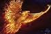 Phoenix - Tom Wood Poster (91 x 61cm) von Phoenix - alle Infos