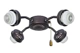 Emerson F440ORB Four-Light Arm Fitter with Four 13-Watt Medium Base Compact Fluorescent Bulbs, 8.75-Inch Wide, 3-Inch High, Oil Rubbed Bronze