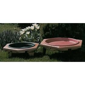 Looker Mini Garden Green Bird Bath by Looker Inc