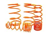 Megan Racing Lowering Springs: Nissan Versa 06+ #11473