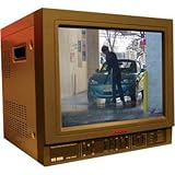 Mace MSP-14MR 14-inch Color Monitor with Built-in DVR System