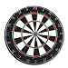 Classic Bristle Dartboard