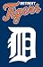 Detroit Tigers Applique Banner Flag
