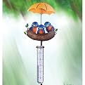 Bird Nest Rain Gauge