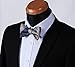 HISDERN Mens Bow Ties Paisley Floral Bow Tie for Men Self Tied Pocket Square Classic Formal Woven Bowties Tuxedo Wedding Bowtie Handkerchief Set