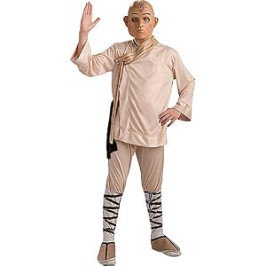 The last airbender costume
