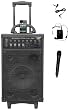 800 Watt Dual Channel Wireless Rechageable Portable Pa System With