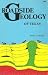Books : Roadside Geology of Texas (Roadside Geology Series)