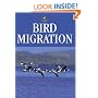 Bird Migration (Birdwatcher's Guide)