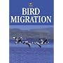 Bird Migration (Birdwatcher's Guide)