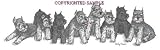Schnauzer - Puppies in a Row by Cindy Farmer