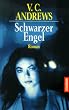 Schwarzer Engel. Die Casteel-Saga Band 2.: BD 2