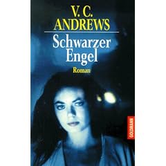 Schwarzer Engel. Die Casteel-Saga Band 2.: BD 2