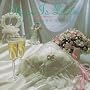 There Is Love (the Wedding Songs)