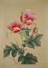 Asian Art Vintage Chinese Watercolor Painting on Silk; Feng Shui and Taoist Influence