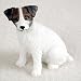 Jack Russell Terrier, Rough Coat, Brown/White Tiny Ones Dog Figurines (2 1/2in)