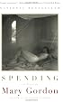 Spending: A Novel