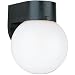 Sea Gull Lighting 8955PBLE-12 Single-Light Outdoor Wall Lantern with White Acrylic Diffuser, Black