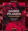 Zauberpflanzen: Pflanzenzauber, Mystik, Gartenpraxis