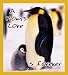 A Mom's Love is forever Bookmark