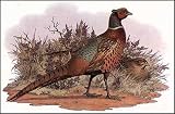 Game Birds-5 of 6 - Artist: Jacques Cartier - Art Print Poster - With a Black Wood Frame -... by ArtExpression