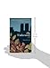 The Understory: A Novel