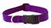 41ZBWJEuOqL. SL75  StarMark Training Collar, Large, Blue