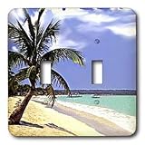 Tropical Island - Tropical Paradise - Light Switch Covers - double toggle switch