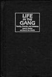Life in the Gang: Family, Friends, and Violence (Cambridge Studies in Criminology)