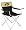 Colorado Golden Buffaloes