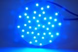 EagleLight Blue Hydroponic Grow Light - PAR38 LED Flood Light